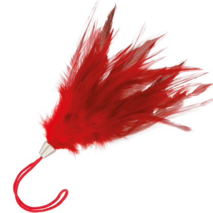 darkness-pluma-estimuladora-rojo-17cm-0