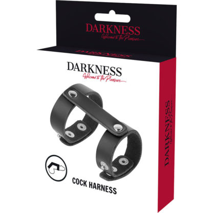 darkness-anillo-pene-y-testiculos-ajustable-leather-2