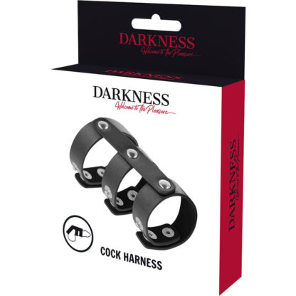 darkness-anillo-doble-pene-y-testiculos-ajustable-leather-1
