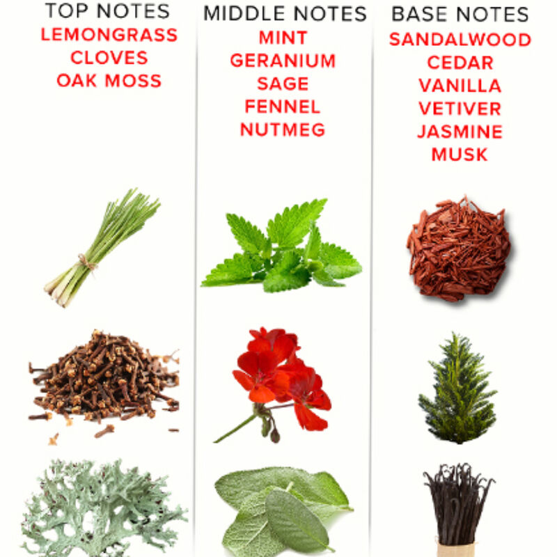 eye-of-love---eol-phr-perfume-deluxe-50-ml---romantic-3