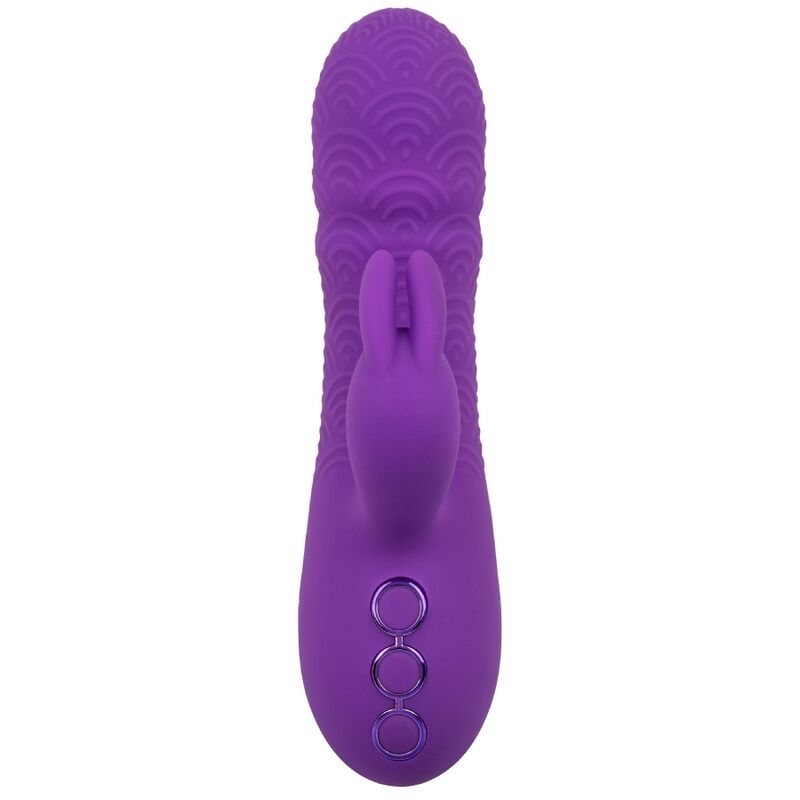 calexotics---manhattan-beach-marvel-vibrador-rabbit-morado-by-california-dreaming-1