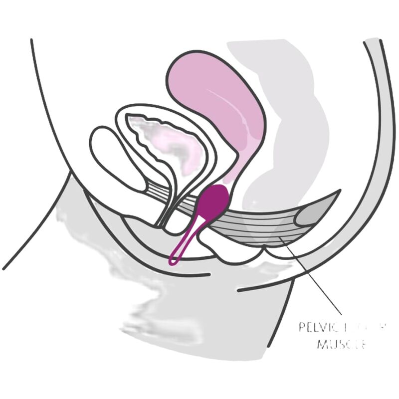 fun-factory---smartball-uno-bola-pÉlvica-blanco-/-lila-pastel-2