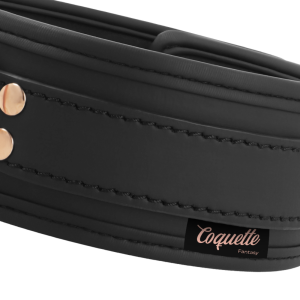 Coquette chic desire - fantasy collar cuero vegano con correa y forro de neopreno