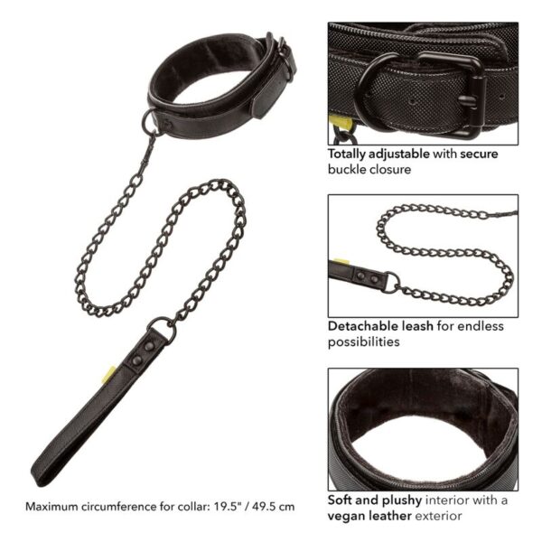 Calexotics - boundless collar con correa