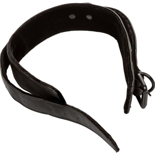 Calexotics - boundless collar con correa