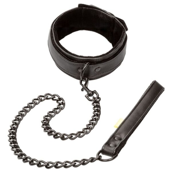 Calexotics - boundless collar con correa