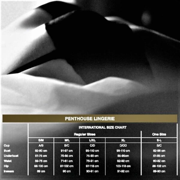 Penthouse - be mine teddy negro xl