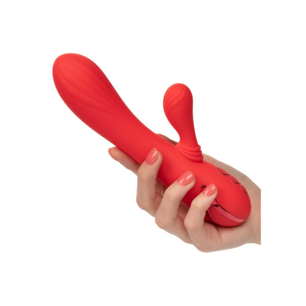 Calexotics - palisades passion red
