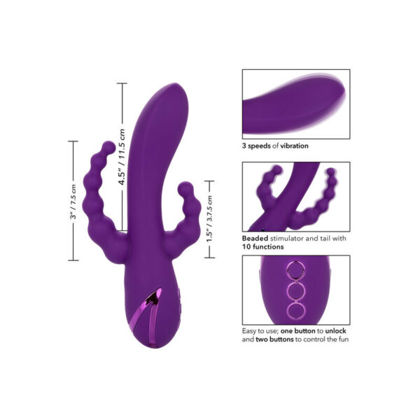 Calexotics - long beach bootylicious purple