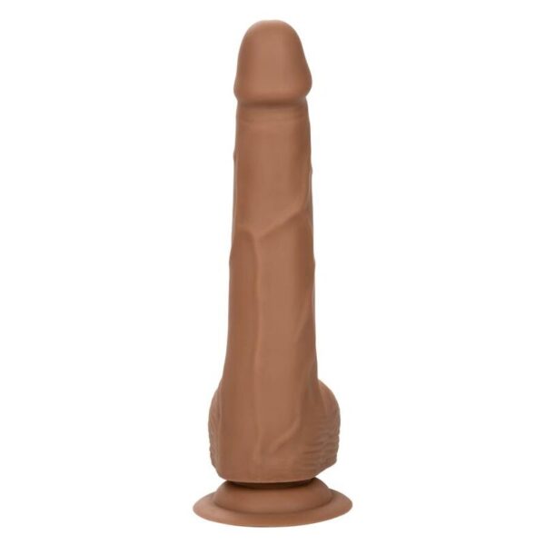 Calexotics - silicone studs 20.32 cm brown