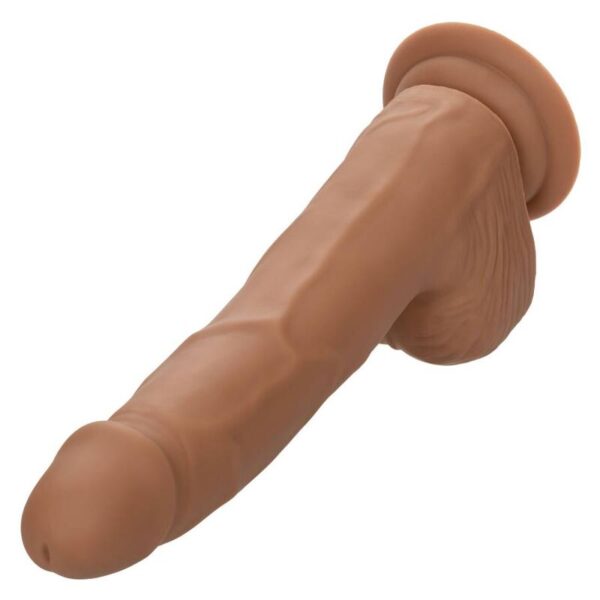 Calexotics - silicone studs 20.32 cm brown