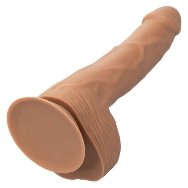 Calexotics - silicone studs 20.32 cm brown