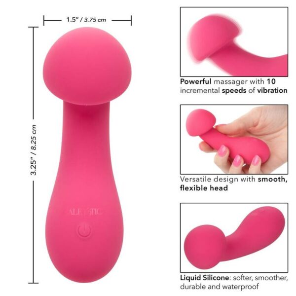 Calexotics - pixies exciter rosa
