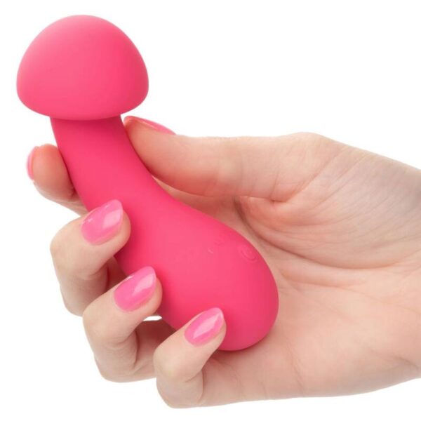 Calexotics - pixies exciter rosa