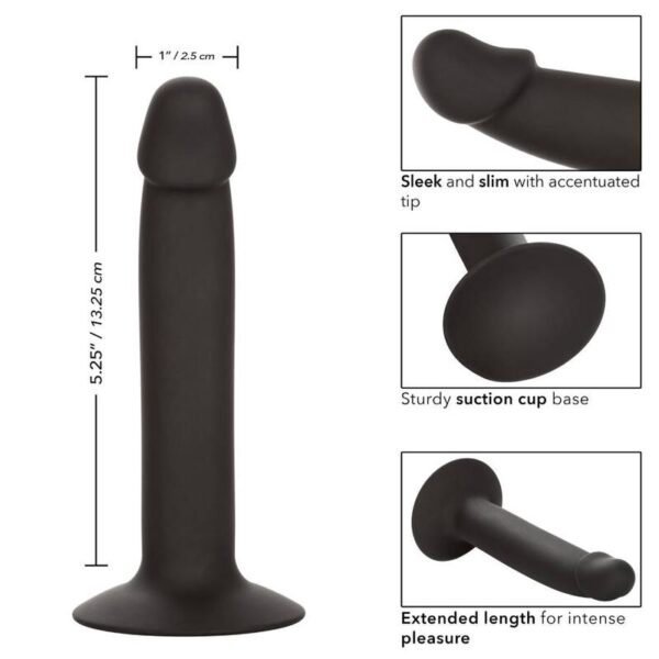 Calexotics - slim anal stud