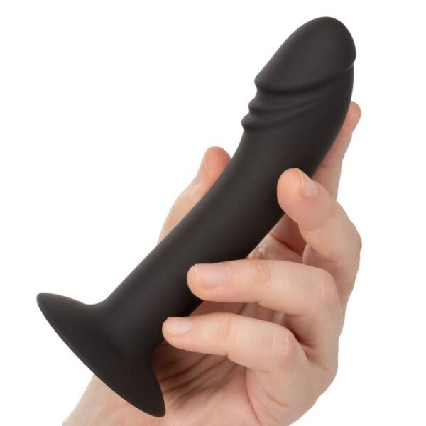 Calexotics - curved anal stud