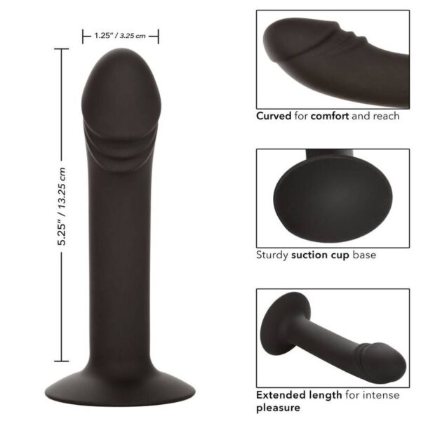 Calexotics - curved anal stud