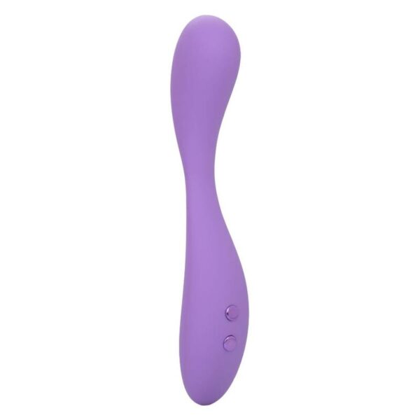 Calexotics - contour demi violeta