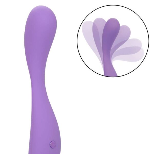 Calexotics - contour demi violeta