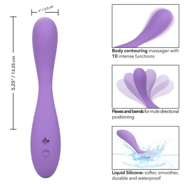 Calexotics - contour demi violeta