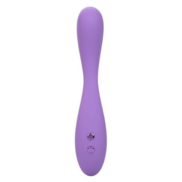 Calexotics - contour demi violeta