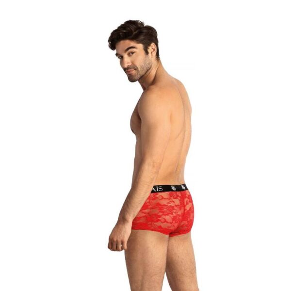 Anais men - brave boxer m