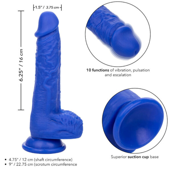 Calexotics - admiral sailor dildo realistico vibrador azul