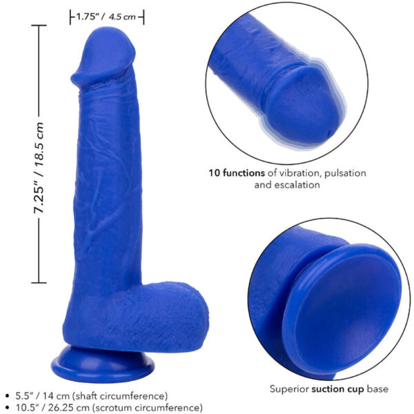 Calexotics - admiral captain dildo realistico vibrador azul