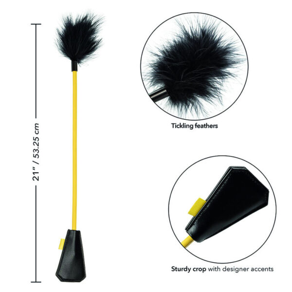 Calexotics - boundless cultivo de plumas