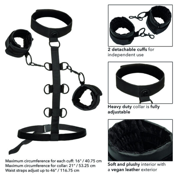 Calexotics - boundless sujecciÓn del cuerpo y el cuello