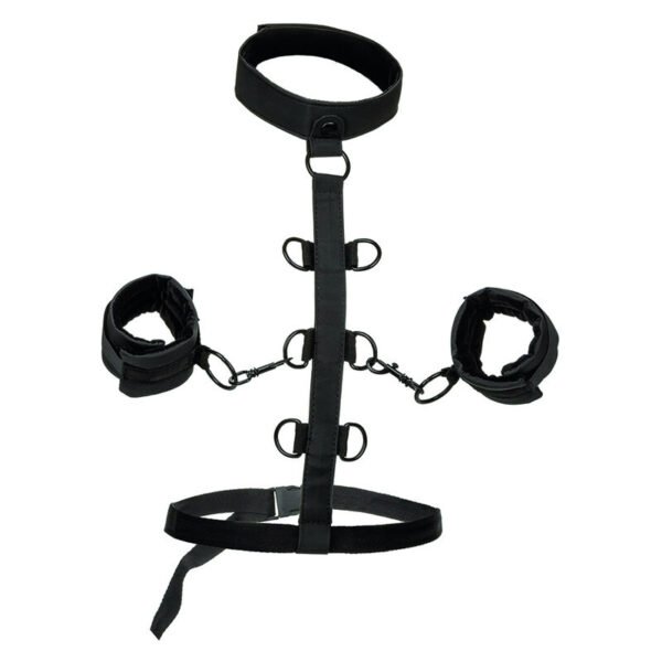 Calexotics - boundless sujecciÓn del cuerpo y el cuello