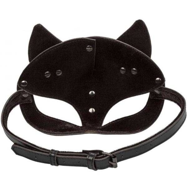 Calexotics - euphoria mscara de gato