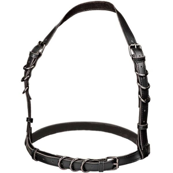 Calexotics - euphoria arnÉs hatler con hebilla talla grande negro