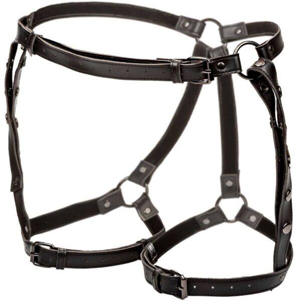 Calexotics - euphoria arnÉs de muslo equitaciÓn talla grande