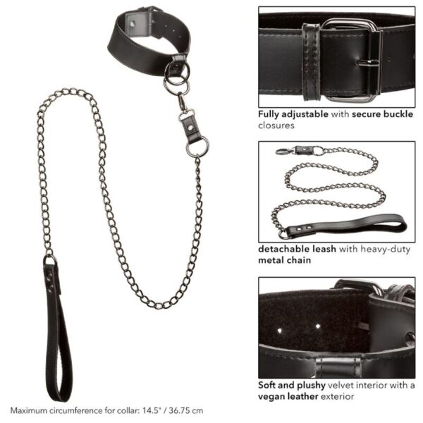 Calexotics - euphoria collar con correa de cadena