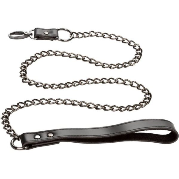 Calexotics - euphoria collar con correa de cadena
