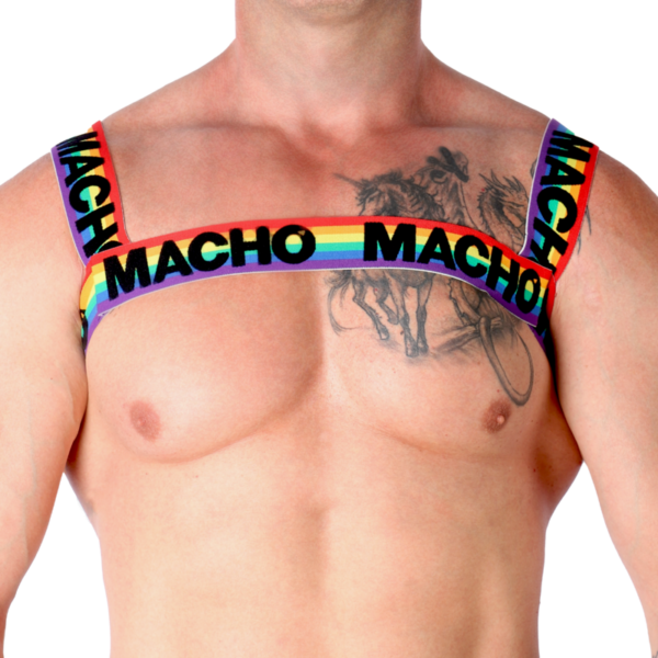 Macho - arnes doble pride limited
