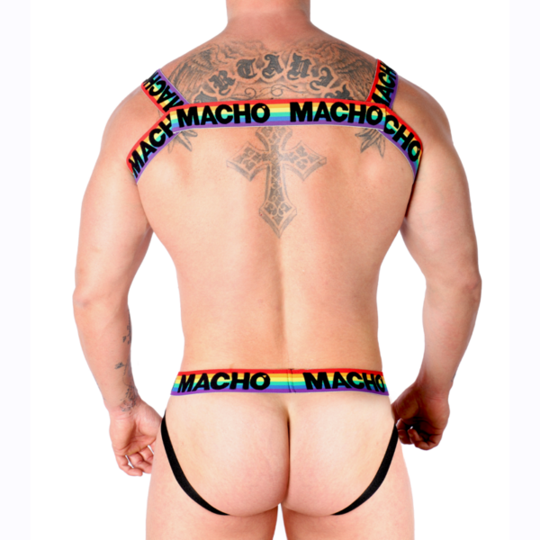 Macho - arnes doble pride limited