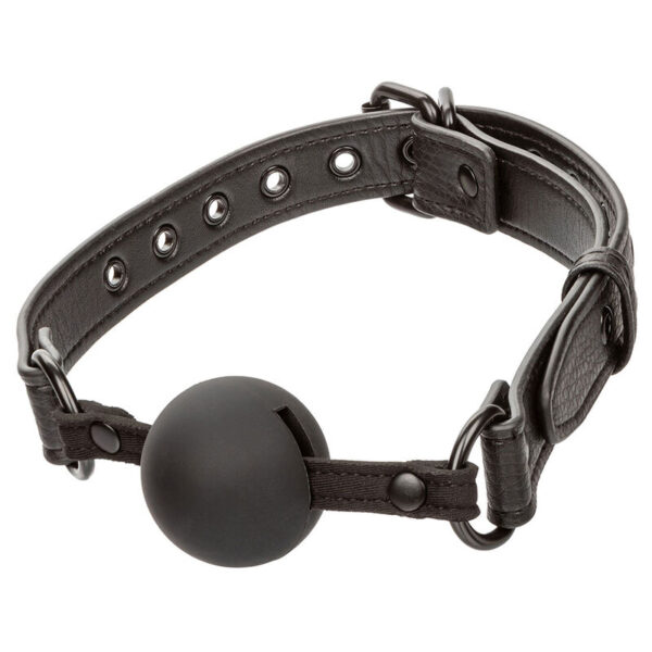 Calexotics - nocturnal mordaza de bola silicona negro