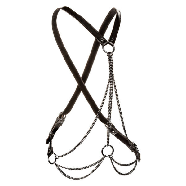 Calexotics - euphoria arnÉs de mÚltiples cadenas premium talla plus