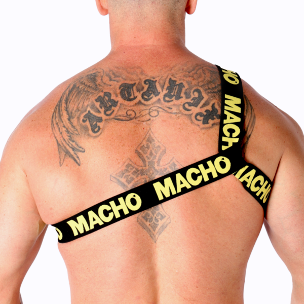 Macho - arnes romano amarillo s/m