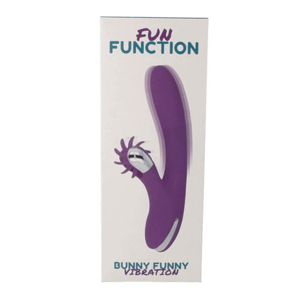 Fun function bunny funny rotation