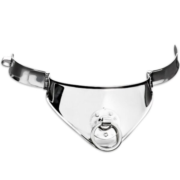 Metal hard collar restriccion con anilla y candado 12.5 cm