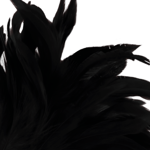 Darkness pluma estimuladora negro lux