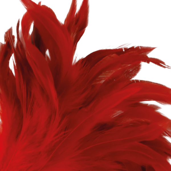 Darkness pluma estimuladora rojo 24cm
