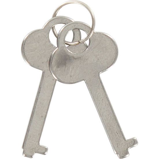 Esposas del amor zebra