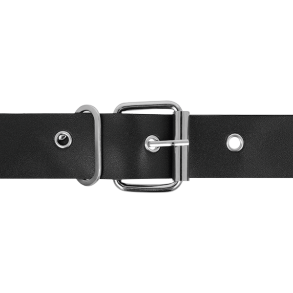 Harness attraction ?rnes taylor deluxe  18 x 4.5cm