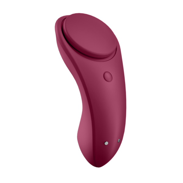 Satisfyer sexy secret panty