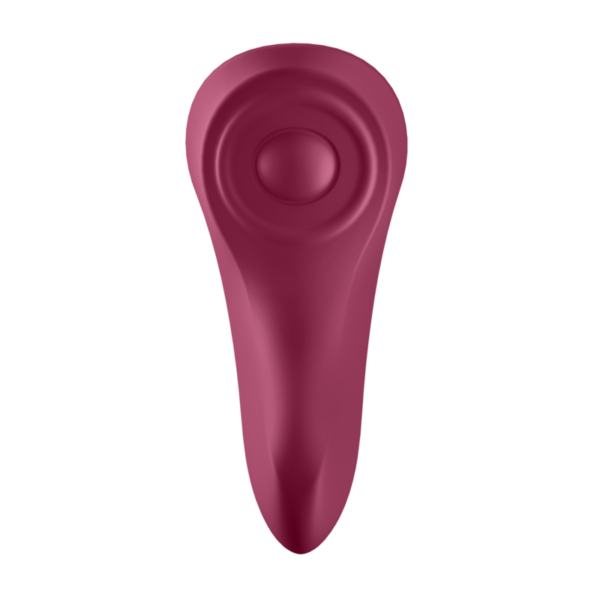Satisfyer sexy secret panty