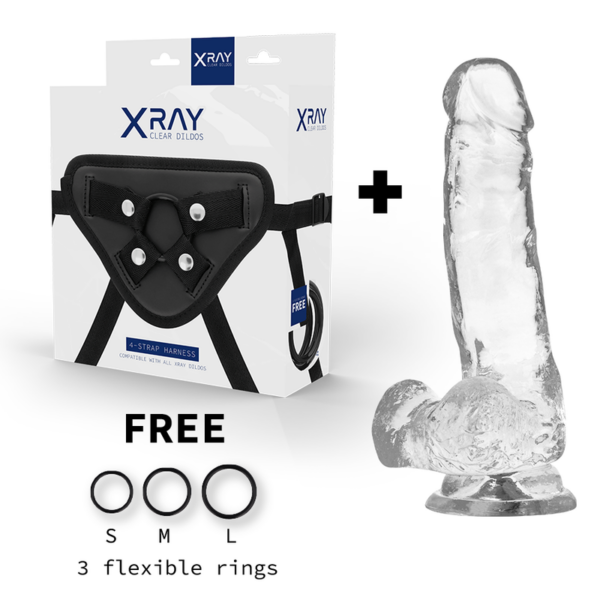 Xray arn?s + dildo realista transparente 18.5cm x 3.8cm